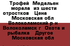 Трофей (Медальен морала) из шести отростков › Цена ­ 15 000 - Московская обл., Волоколамский р-н, Волоколамск г. Охота и рыбалка » Другое   . Московская обл.